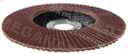 FLAP DISC FLAP DISC 125 P60