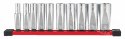 MILWAUKEE Socket set 10 pcs. 3/8" Imperial Long