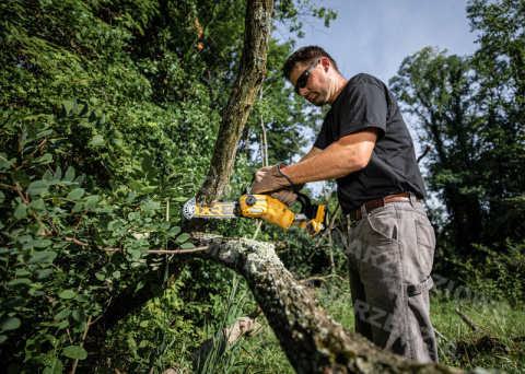 DEWALT Cordless Chainsaw 18V, 20cm Bar DEWALT Cordless Chainsaw 18V, 20cm Bar