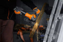 NEO-TOOLS Szlifierka kątowa 1000W 125mm z regulacją obrotów