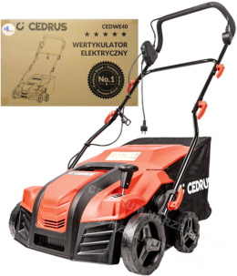 Cedrus wertykulator CEDWE40