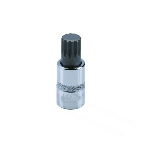 Wrench Spline Bit XZN M13 Socket 1/2' Wrench Spline Bit XZN M13 Socket 1/2'
