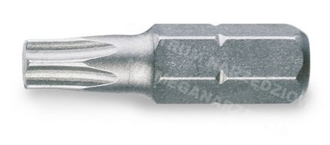 BETA KOŃCÓWKA WKRĘTAKOWA PROFIL PROFIL TORX T25 BETA KOŃCÓWKA WKRĘTAKOWA PROFIL PROFIL TORX T25
