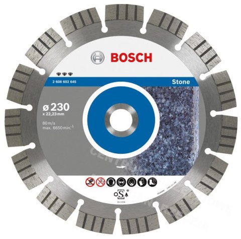 BOSCH TARCZA DIAMENTOWA 300x25,4 SEG STONE BOSCH BOSCH TARCZA DIAMENTOWA 300x25,4 SEG STONE BOSCH