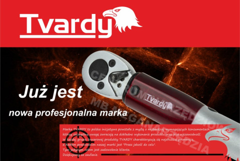 T00022 DYNAMO KEY. 1/4 "5-25Nm TVARD T00022 DYNAMO KEY. 1/4 "5-25Nm TVARD