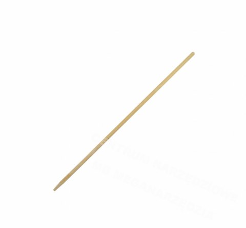 AWTOOLS TRZONEK DO MOTYKI / 120cm AWTOOLS TRZONEK DO MOTYKI / 120cm