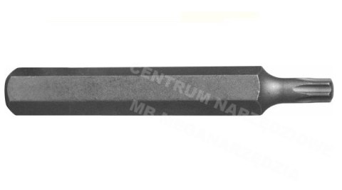 JONNESWAY KOŃCÓWKA TORX Tx 40x 75 5/16" (8mm) JONNESWAY KOŃCÓWKA TORX Tx 40x 75 5/16" (8mm)