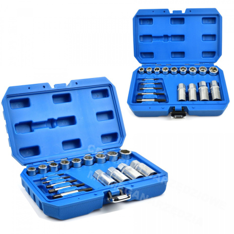 EXTRACTORS FOR BREAKED BOLT SOCKET SCREWS 17 EL
