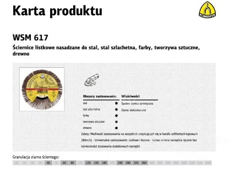 KLINGSPOR Ściernica listkowa nasadzana 125mm WSM617 gr.120 KLINGSPOR Ściernica listkowa nasadzana 125mm WSM617 gr.120