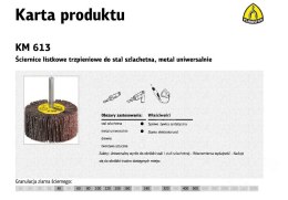 KLINGSPOR Ściernica listkowa trzpieniowa KM613 80mm x 40mm x 6mm gr. 60