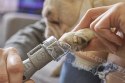 DREMEL SZLIFIERKA DO PAZURÓW