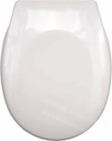 WAVE Soft-close toilet seat detachable dp white