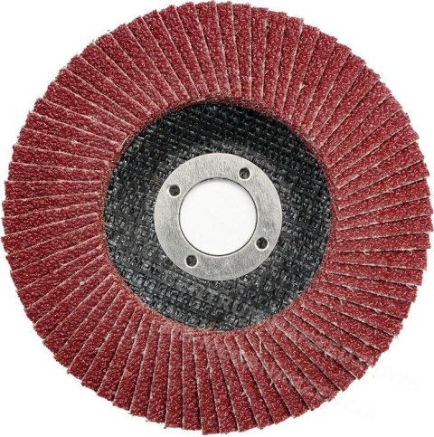 VOREL Abrasive mop 125mm P 80 flap for angle grinder VOREL Abrasive mop 125mm P 80 flap for angle grinder