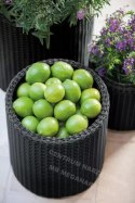 KETER Set of 3 pots s+m+l anthracite