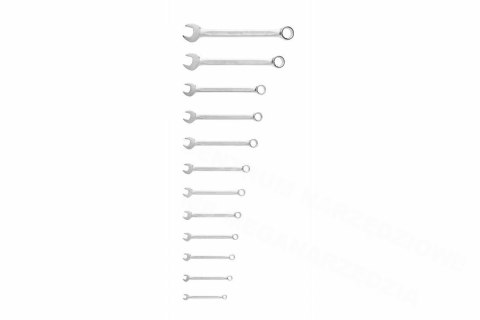 HOGERT Zestaw kluczy płasko-oczkowych 12sztuk /6-24mm/ HOGERT Zestaw kluczy płasko-oczkowych 12sztuk /6-24mm/